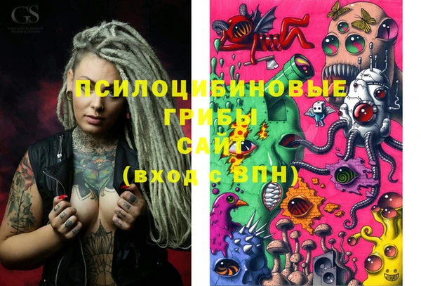дурь Горняк