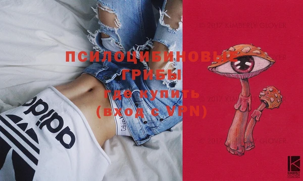 дурь Горняк
