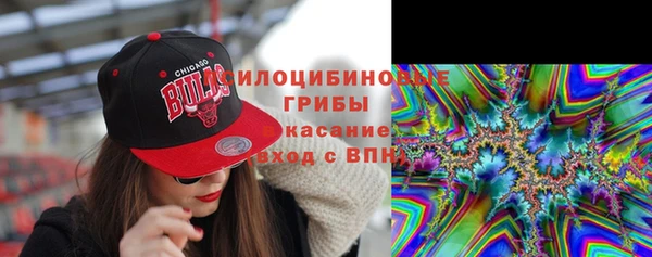 дурь Горняк