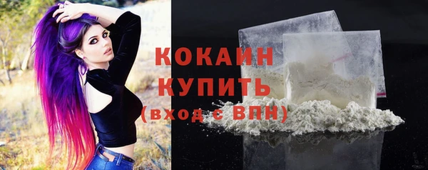дурь Горняк