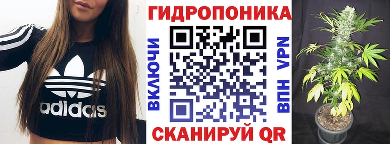 Шишки марихуана OG Kush  Северодвинск 